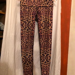 Teeki Purple Awakening Hot Pants M